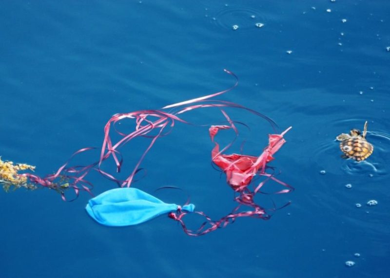 pollution balloons turtle