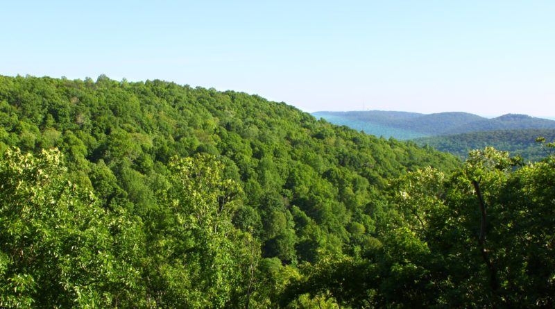 Trees